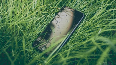 iPhone在草地
